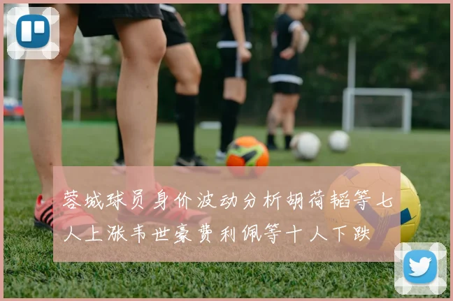 蓉城球员身价波动分析胡荷韬等七人上涨韦世豪费利佩等十人下跌