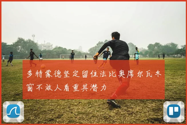 多特蒙德坚定留住法比奥席尔瓦冬窗不放人看重其潜力