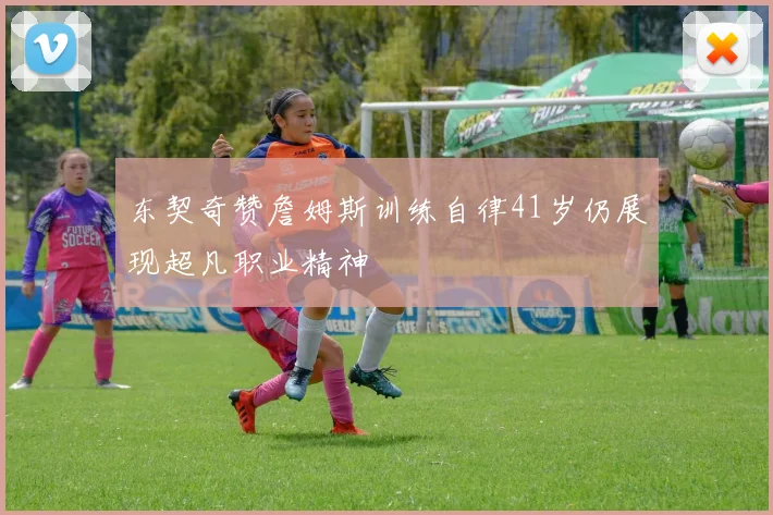 东契奇赞詹姆斯训练自律41岁仍展现超凡职业精神